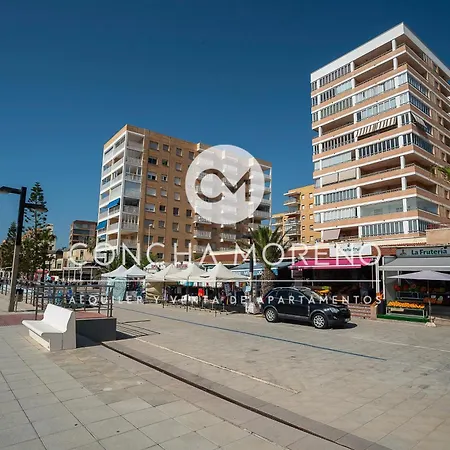 Sol Dor-cm オロペサ・デル・マール